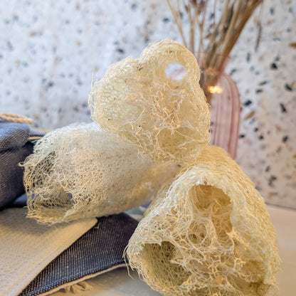 Luffa Sponge