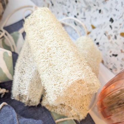 Luffa Sponge