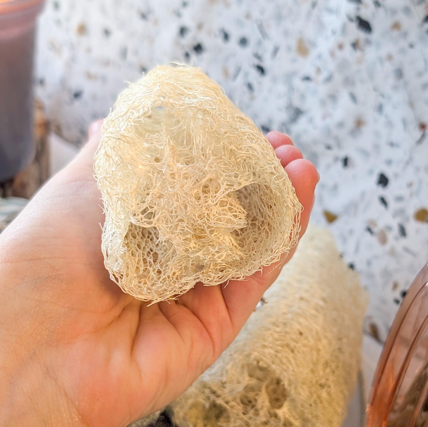 Luffa Sponge