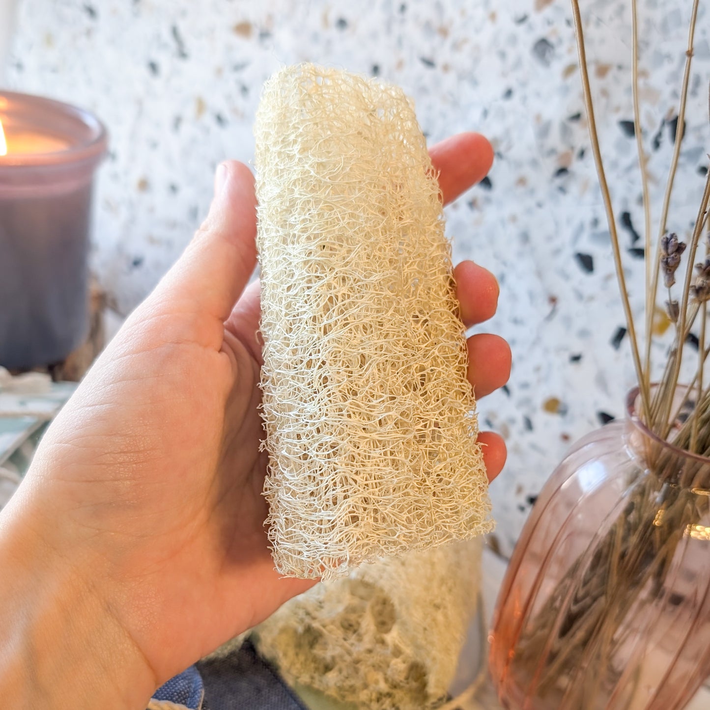 Luffa Sponge